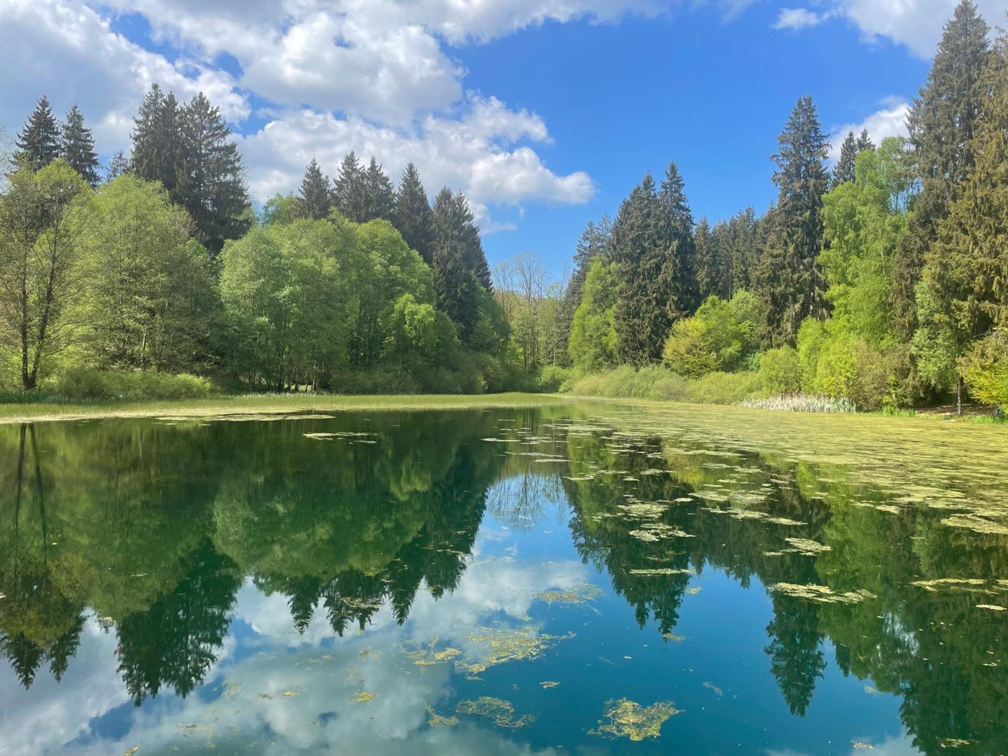 Ferienhaus Ahlborn Uslar Bagian luar foto