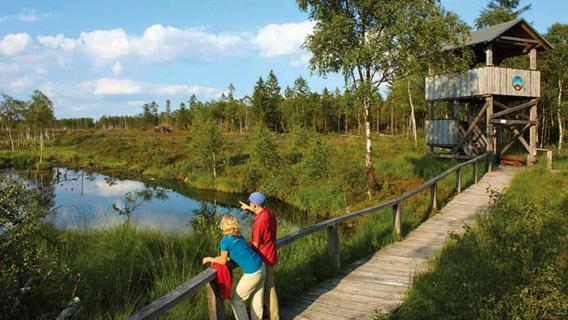 Ferienhaus Ahlborn Uslar Bagian luar foto
